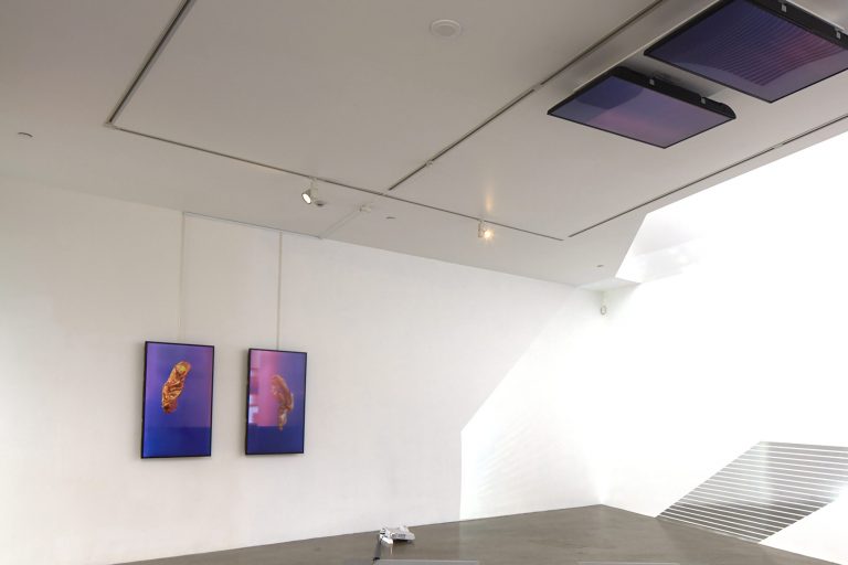 Watching Windows (curated by Andrew Clifford)