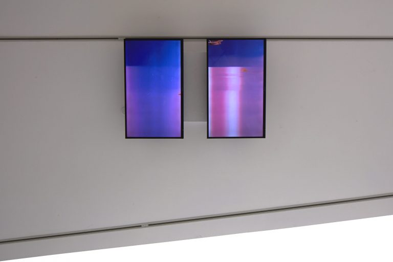 Watching Windows (curated by Andrew Clifford)